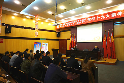 結(jié)對(duì)黨建 學(xué)習(xí)宣傳貫徹十九大精神