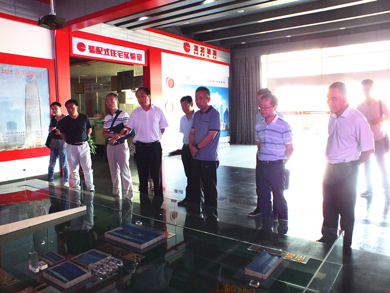 湖北省政府科技創(chuàng)新驅(qū)動發(fā)展專題督查組一行蒞臨鴻路督查